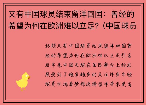 又有中国球员结束留洋回国：曾经的希望为何在欧洲难以立足？(中国球员留洋情况)