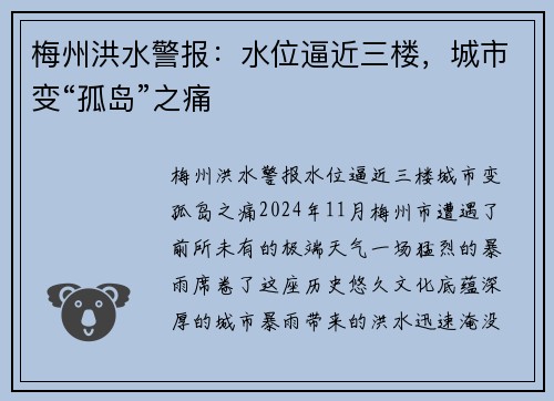 梅州洪水警报：水位逼近三楼，城市变“孤岛”之痛