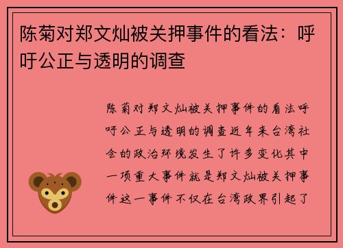 陈菊对郑文灿被关押事件的看法：呼吁公正与透明的调查